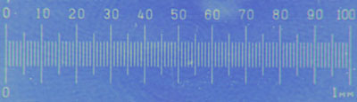 Photo of metric graticule in polarised light