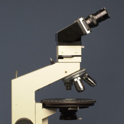 photograph of a microscope