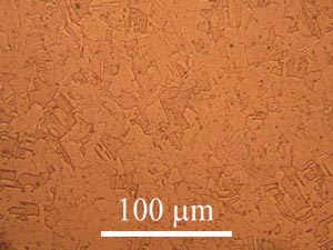 Micrograph of etched copper specimen
